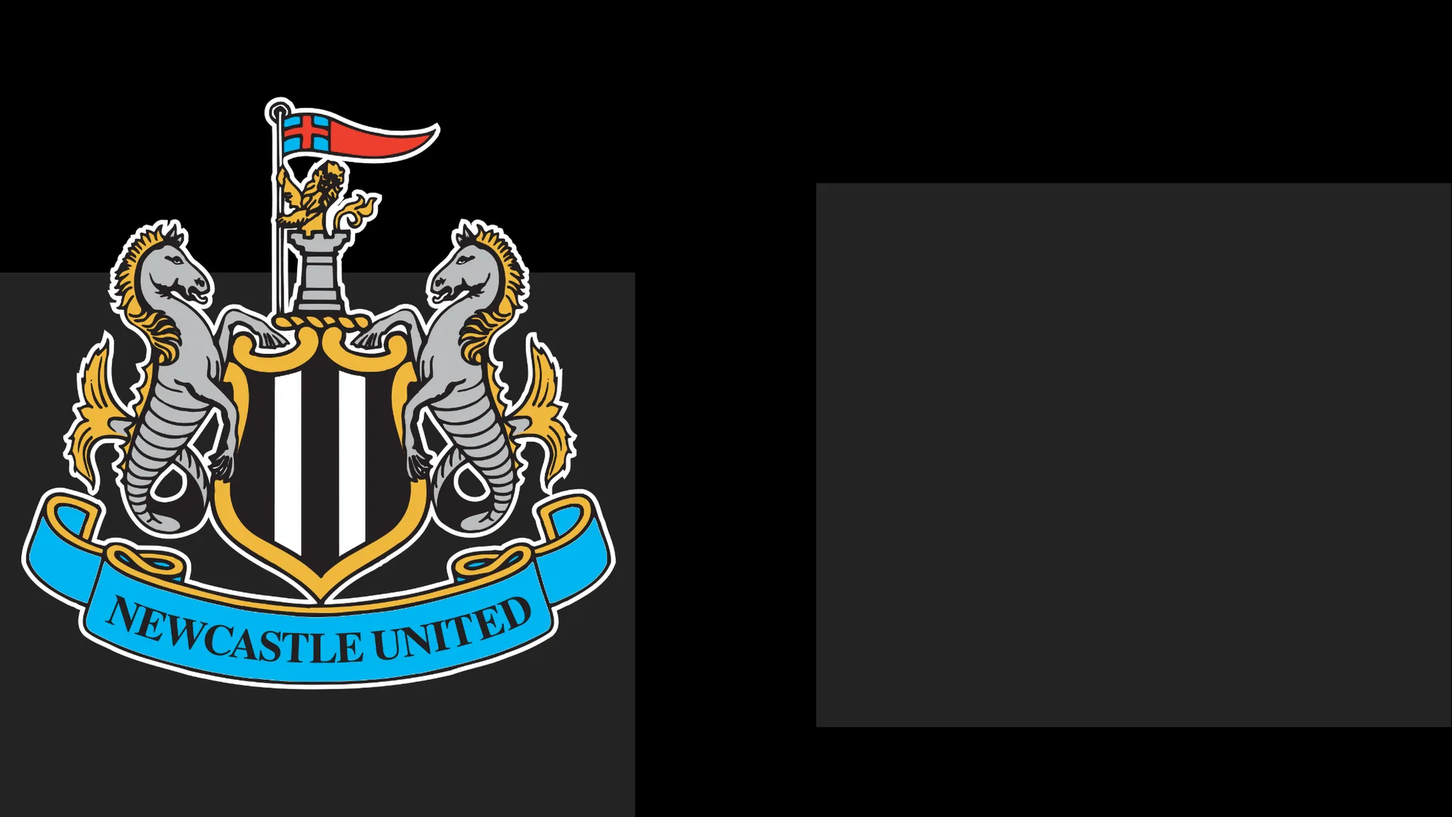 NUFC Issue Apology to Followers Following Season Ticket Dispute