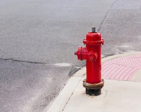 Back in 2009, Which celebrity Smashed a Luxury SUV Against a Fire Hydrant?