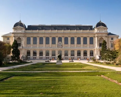 Historic Golden Samples Stolen in Audacious Robbery at France's National Museum