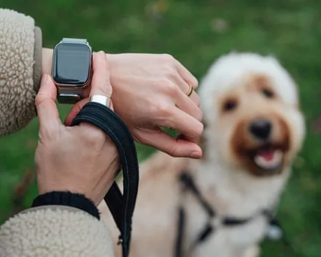 The Truth Concerning Fitness Trackers? Daily Existence Is Better Devoid of a Nagging Zealot on Your Wrist